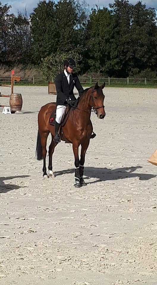 Galerie Haras